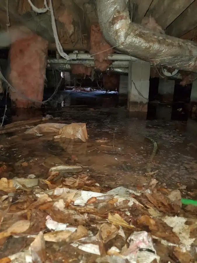 Crawl space flood assessment for Leak Detection & Repair in Gilbert